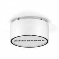 Громкоговоритель Stelberry F-306W