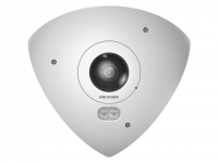 IP-камера Hikvision DS-2CD6W45G0-IVS