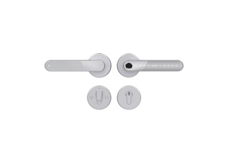 Home Fast SILVER - умный замок для апартаментов и домохозяйств