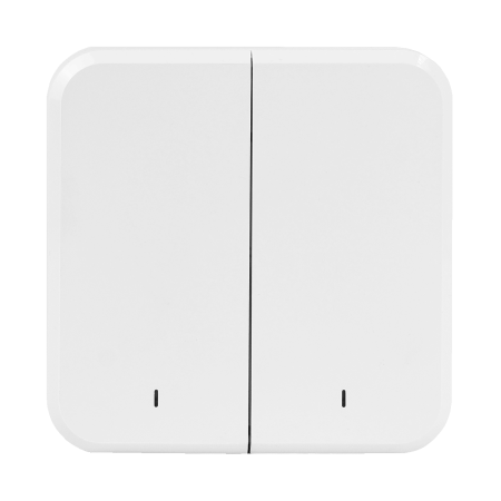 Двухклавишный беспроводной выключатель SZ-SBR